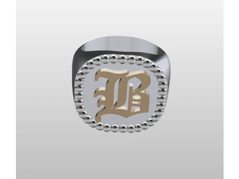 ANILLO DE SELLO Modelo 3D