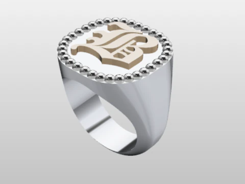 ANILLO DE SELLO Modelo 3D