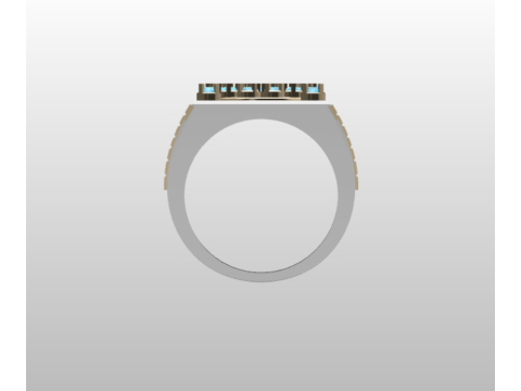 PREMIUM GENTS RING Modèle 3D