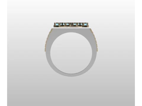 PREMIUM GENTS RING 3D Model