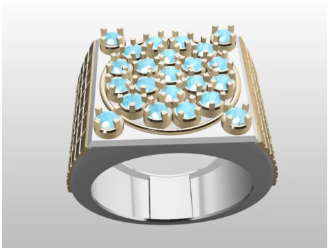 PREMIUM GENTS RING 3D Model