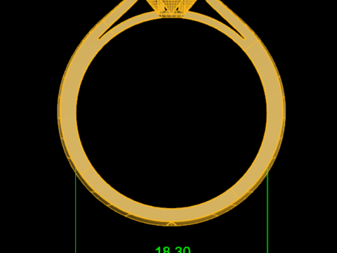 Ladies Premium Diamond Ring 3D 모델