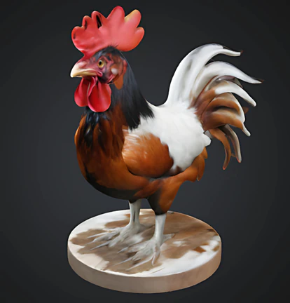 Cockerel 3D Model .c4d .max .obj .3ds .fbx .stl .blend
