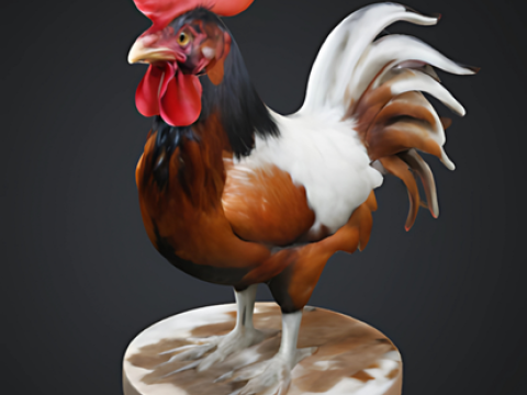 Cockerel 3D Модель