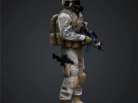 USA Special Forces Soldier 3D Print Model