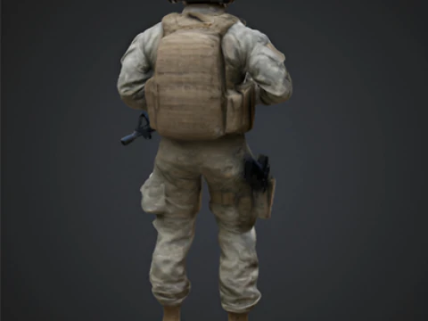 USA Special Forces Soldier 3D Print Model