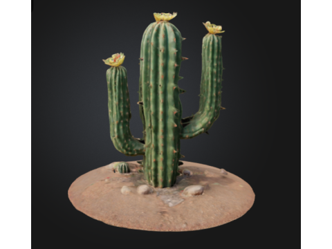 3D printable cactus model Modèles 3D en vedette