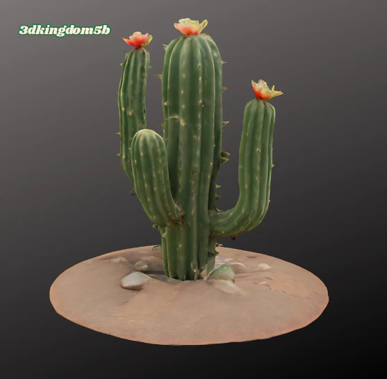 3D printable cactus model 3D Print Model .c4d .max .obj .3ds .fbx .stl .blend 