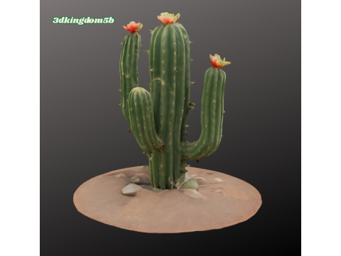 3D printable cactus model 3D प्रिंट मॉडल