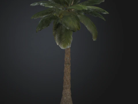 Modello di palma stampabile in 3D Modello di stampa 3D