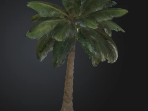 3D printable palm tree model 3D Print Model