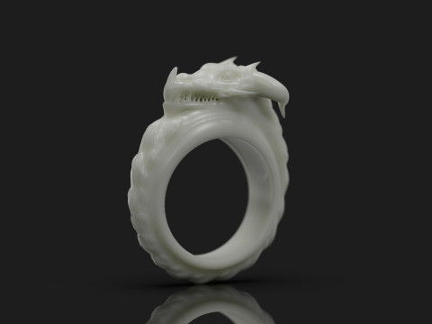 Dragon Ring Custom 3D Print Model