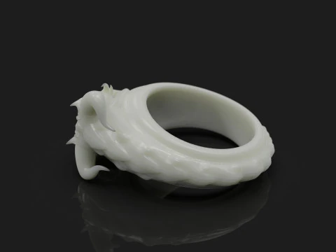 Dragon Ring Custom 3D Print Model