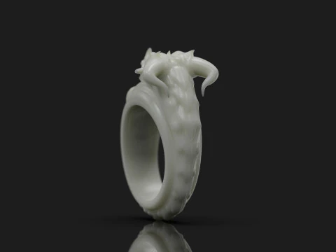 Dragon Ring Custom 3D Print Model