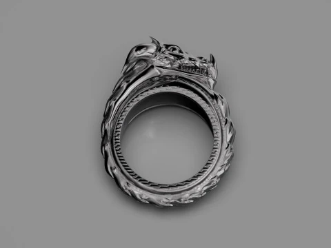 Dragon Ring Custom 3D Print Model