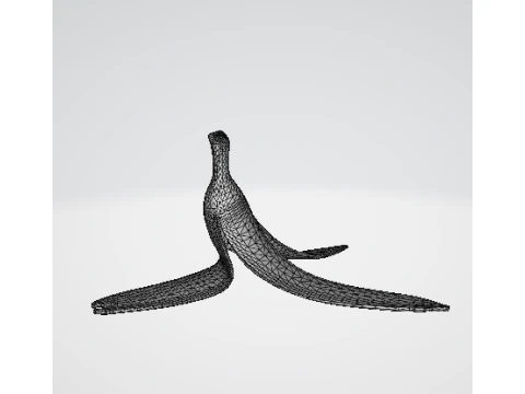 Banana Peel 3D Model