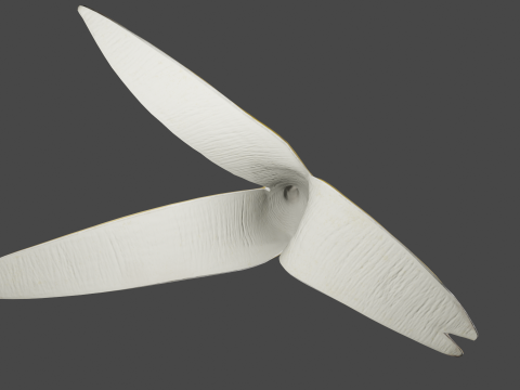 Banana Peel 3D Model