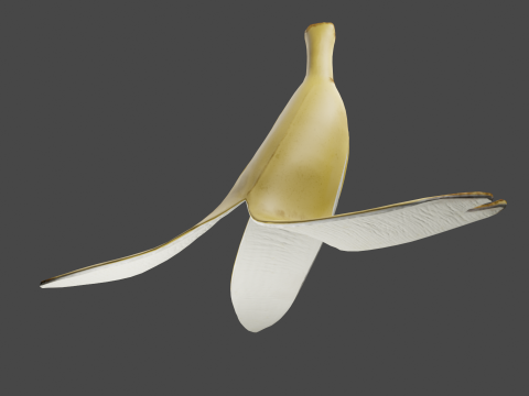Banana Peel 3D Model