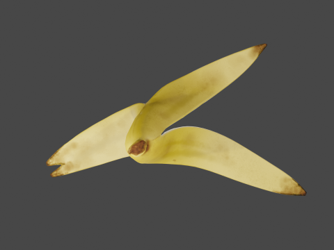 Banana Peel 3D Model