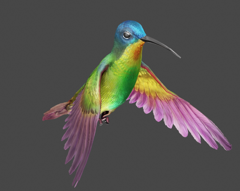 Flying hummingbird 3D 模型 .c4d .max .obj .3ds .fbx .stl .blend 