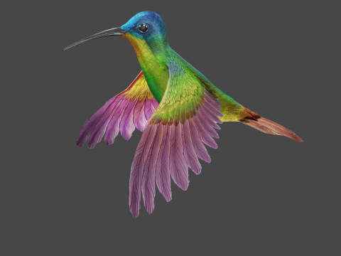 날아다니는 벌새 3D 모델