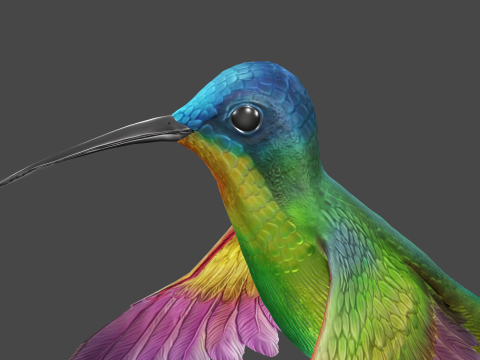 Flying hummingbird 3D 模型
