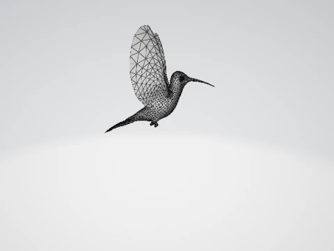 날아다니는 벌새 3D 모델