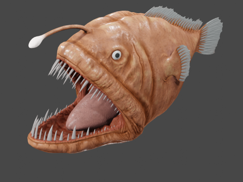 Angler fish 3D Model