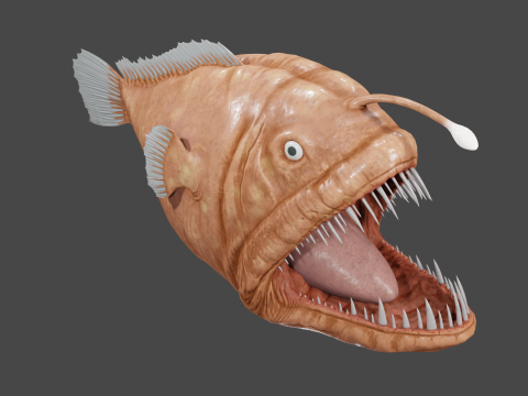 Angler fish 3D-Modell