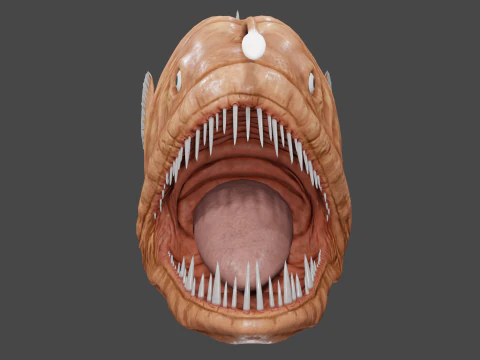 Angler fish 3D Model