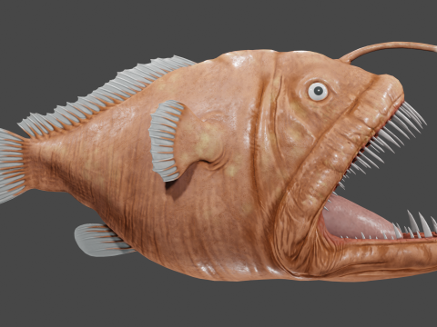 Angler fish 3D-Modell