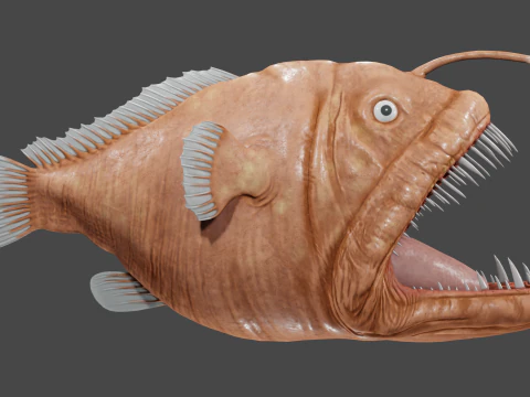 Angler fish 3D Model