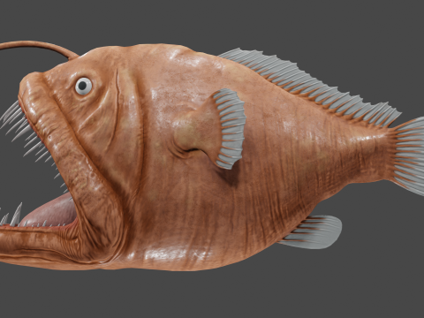 Angler fish 3D-Modell