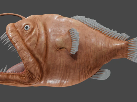 Angler fish 3D Model
