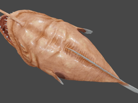 Angler fish 3D-Modell