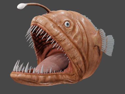 Angler fish 3D-Modell