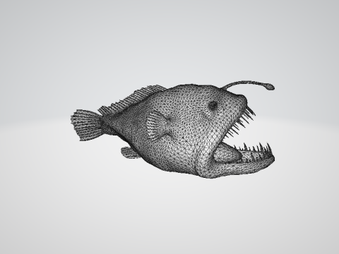 Angler fish 3D-Modell