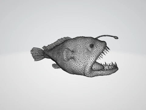 Angler fish 3D Model