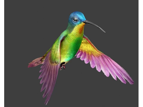 Flying hummingbird 3D Model