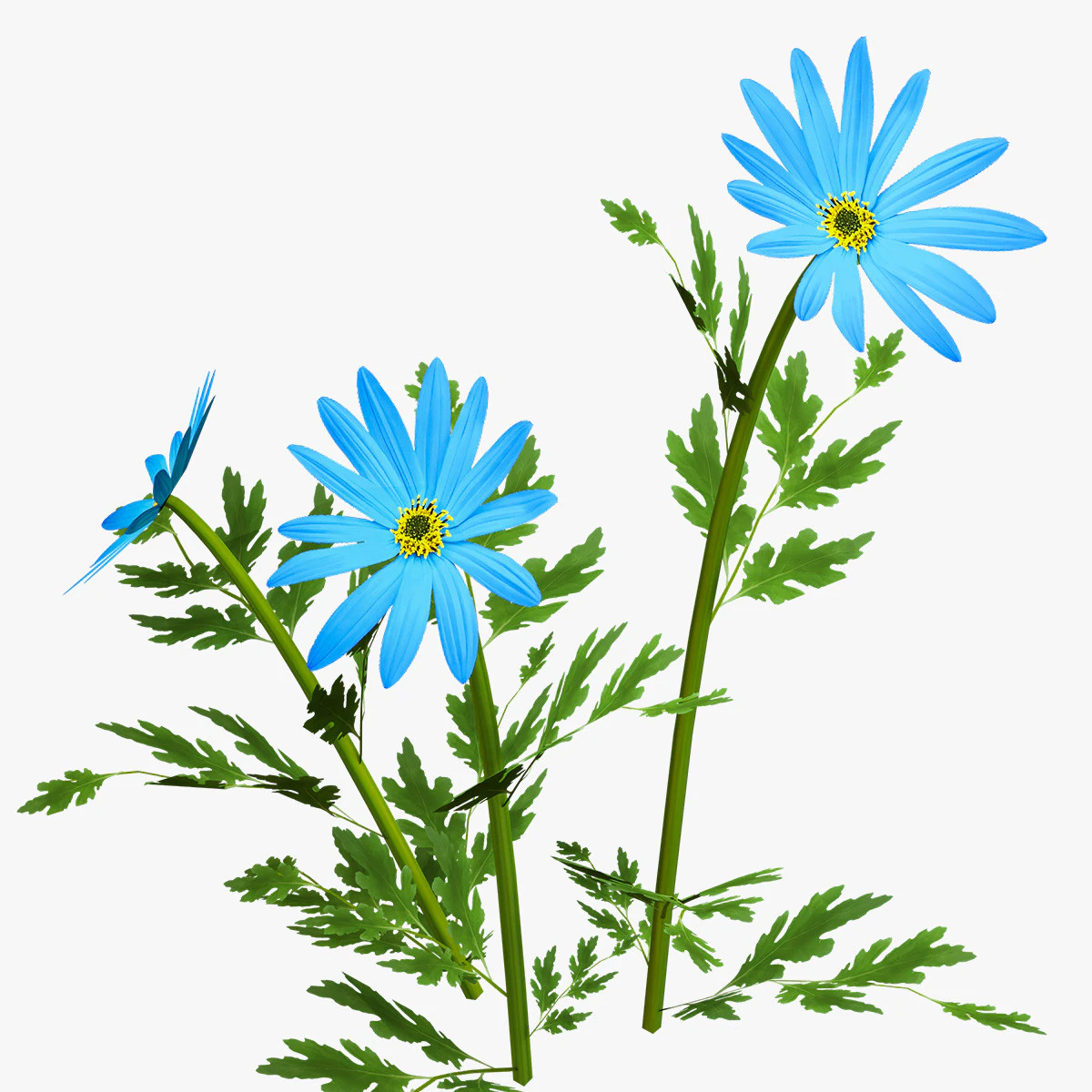 Blue Flower Plant 3D Model .c4d .max .obj .3ds .fbx .stl .blend