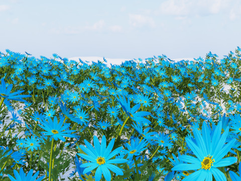 Blue Flower Plant 3Dモデル
