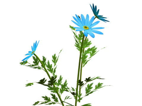 Blue Flower Plant 3D Model