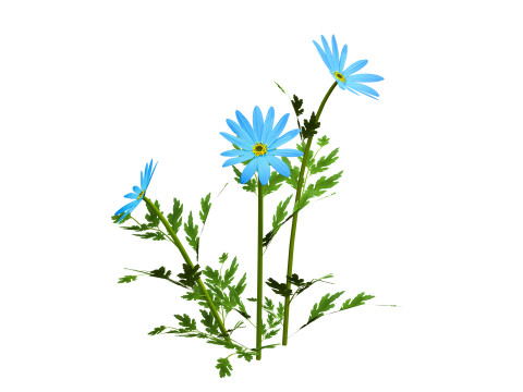 Blue Flower Plant 3Dモデル