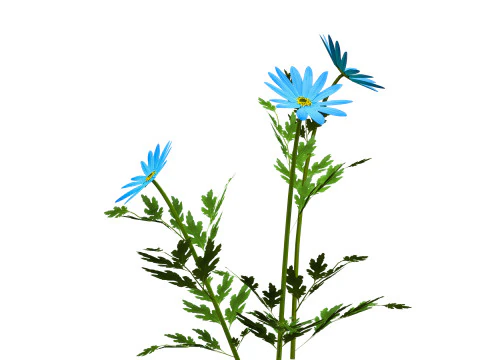 Blue Flower Plant 3D Model
