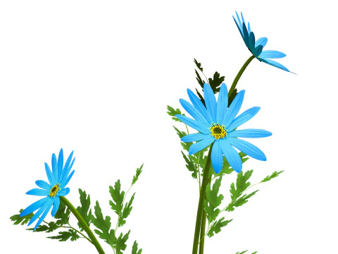 Blue Flower Plant 3D Model