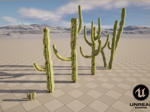 5 サボテンのローポリ 3Dモデル