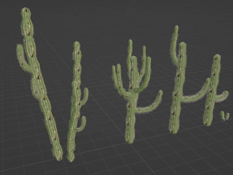 5 サボテンのローポリ 3Dモデル