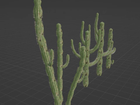 5 サボテンのローポリ 3Dモデル