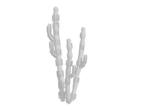 5 Cactus low-poly Model 3D