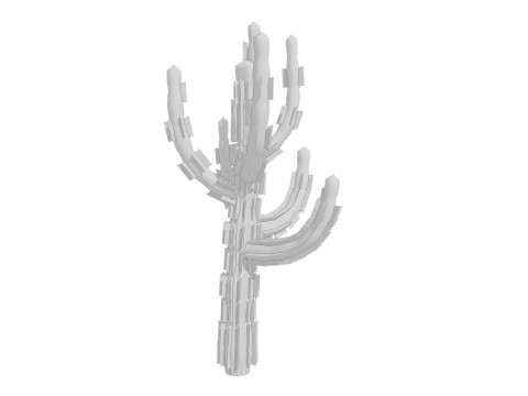 5 Cactus low-poly Model 3D